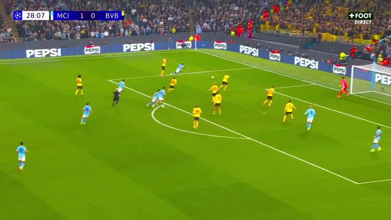 zaslepka skrotu video