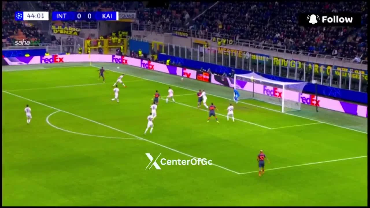 zaslepka skrotu video