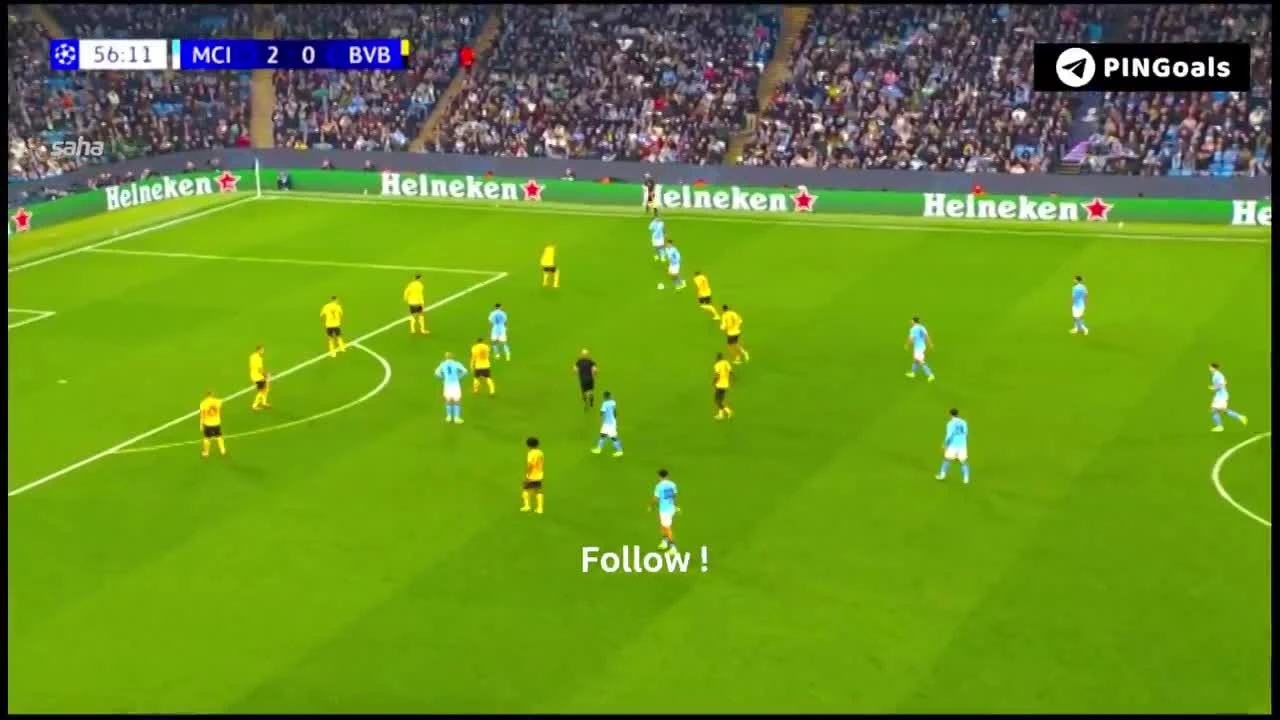 zaslepka skrotu video