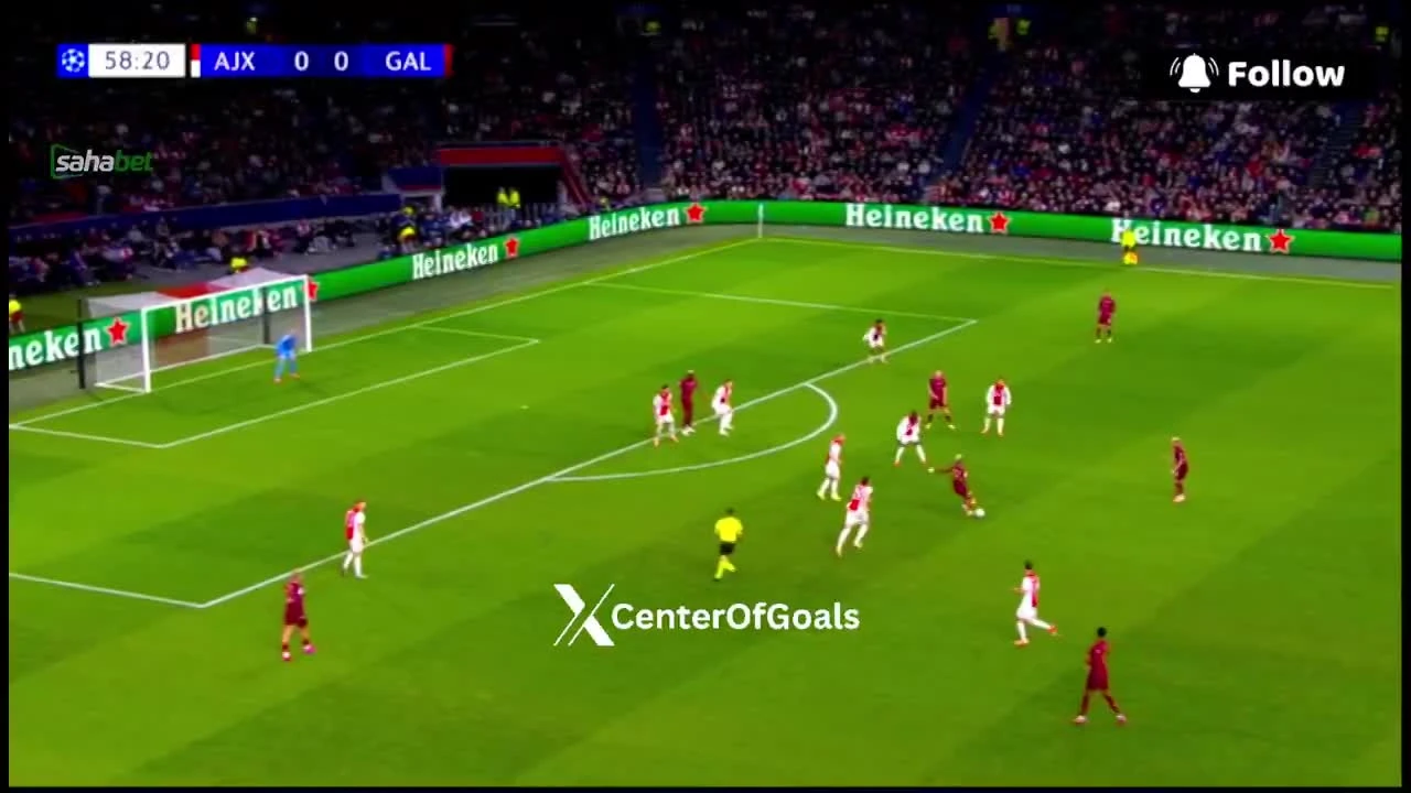 zaslepka skrotu video