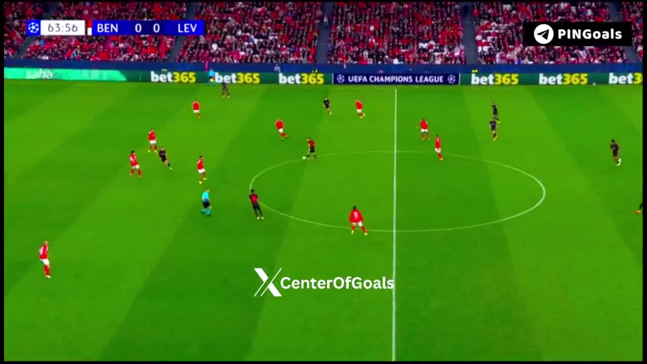 zaslepka skrotu video