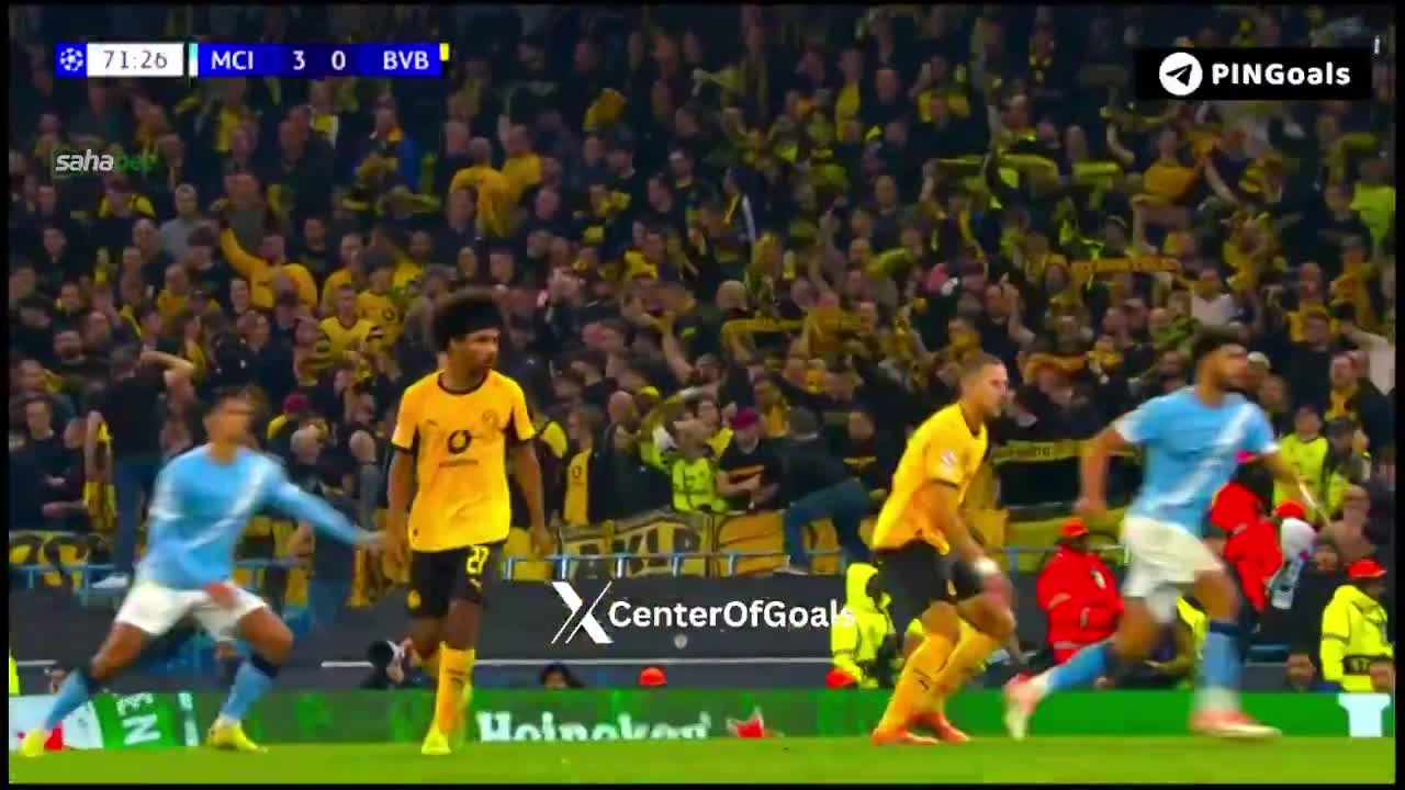 zaslepka skrotu video