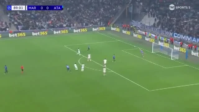 zaslepka skrotu video