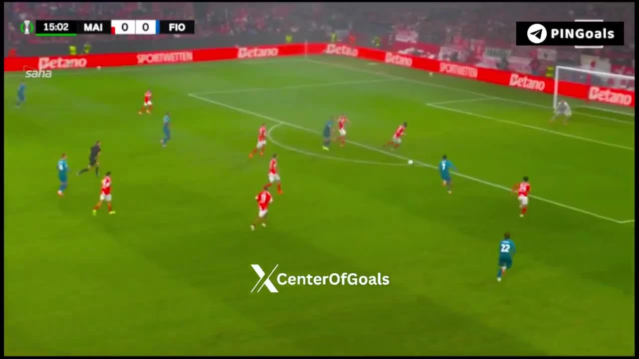 zaslepka skrotu video