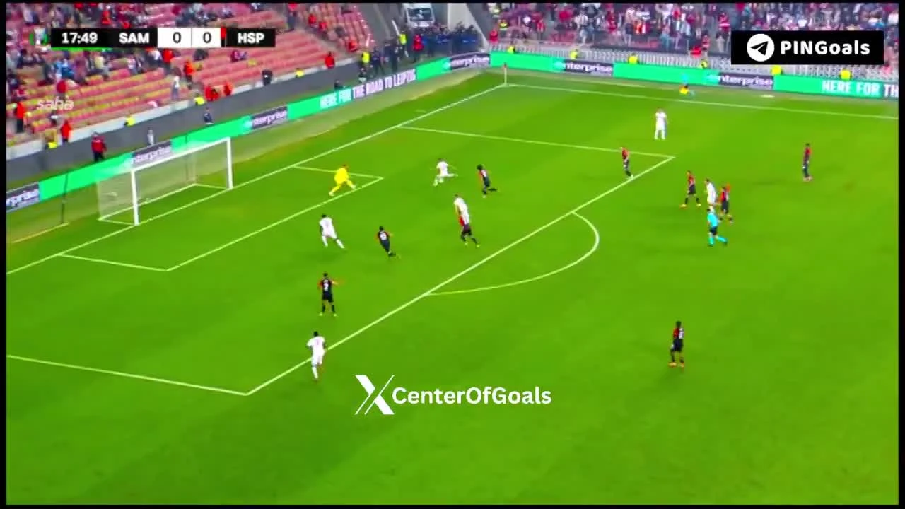 zaslepka skrotu video