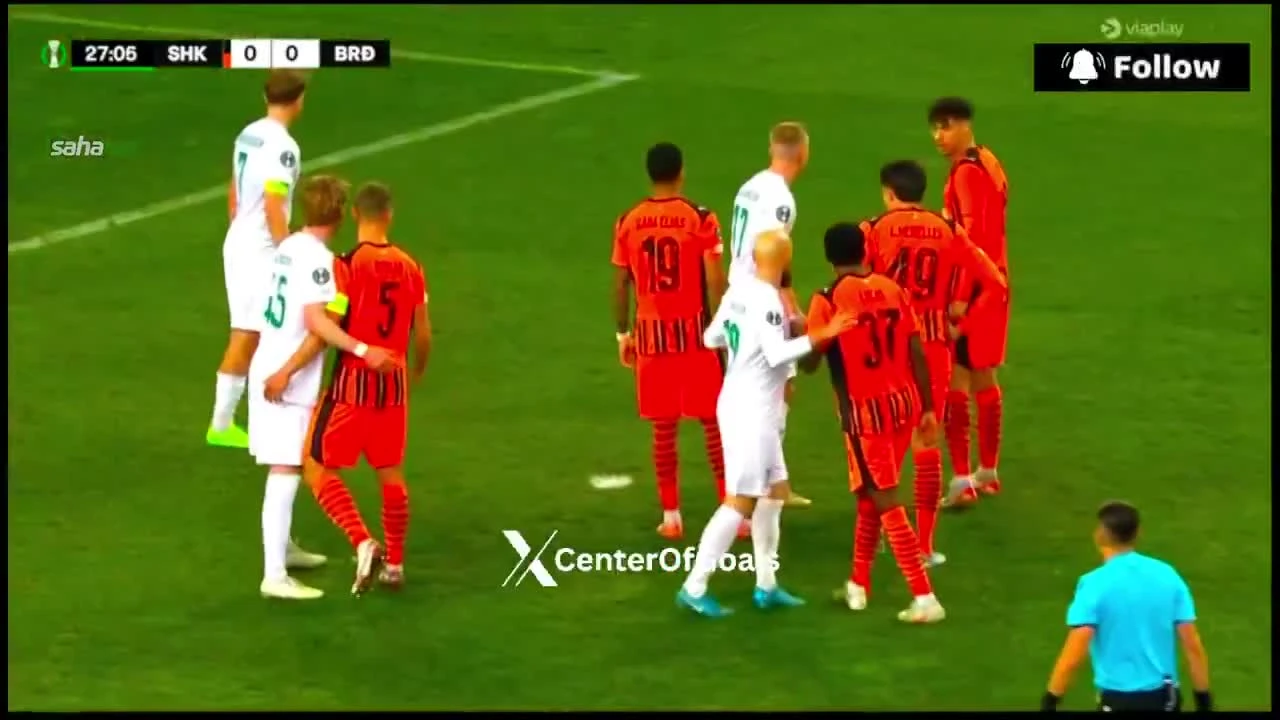 zaslepka skrotu video