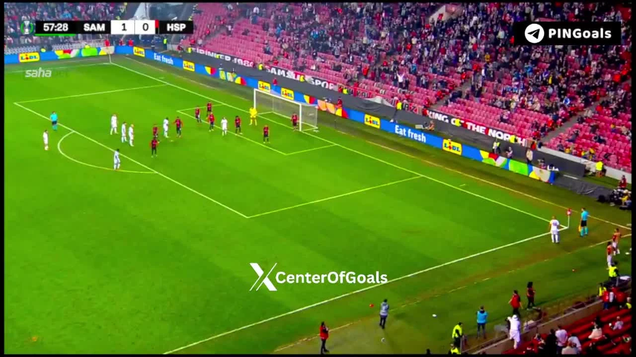 zaslepka skrotu video