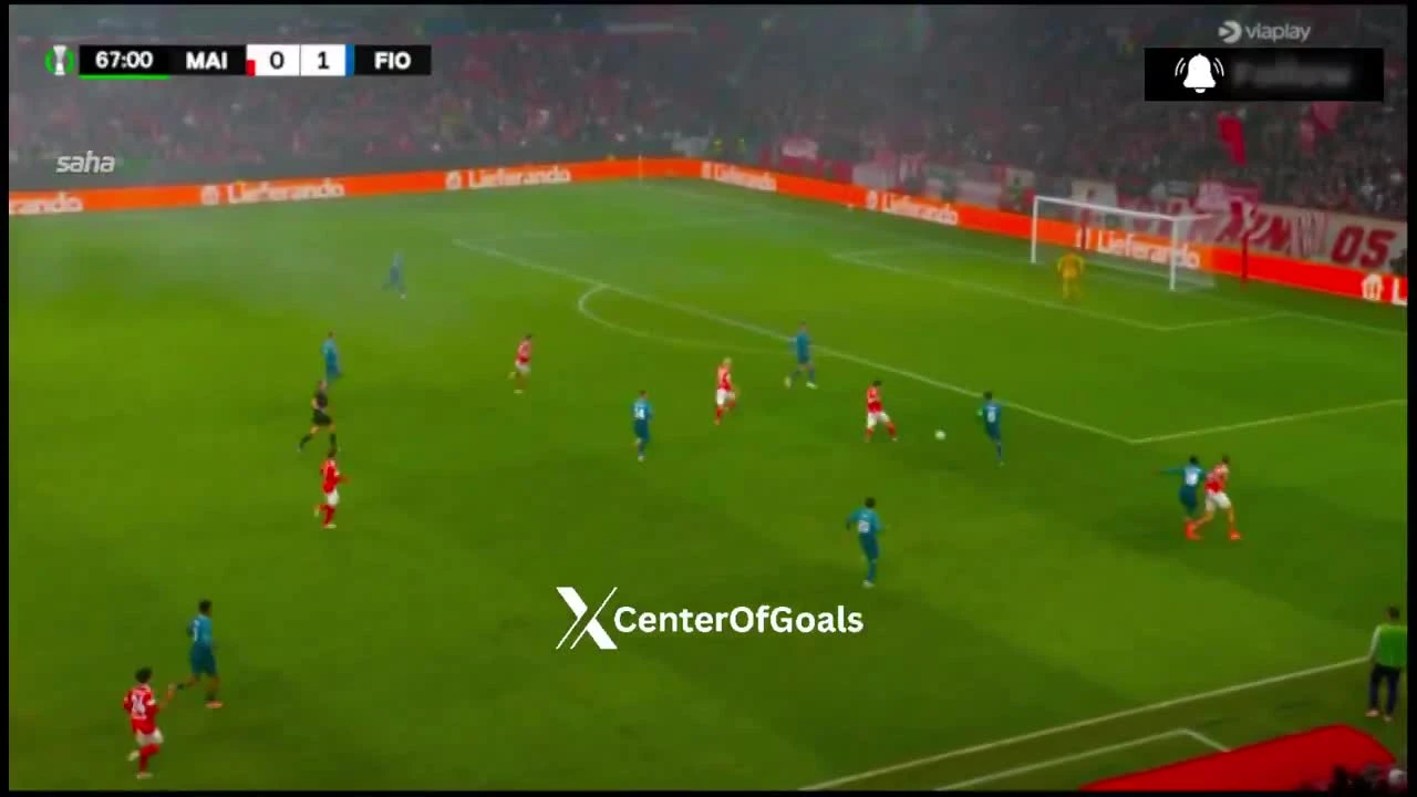 zaslepka skrotu video