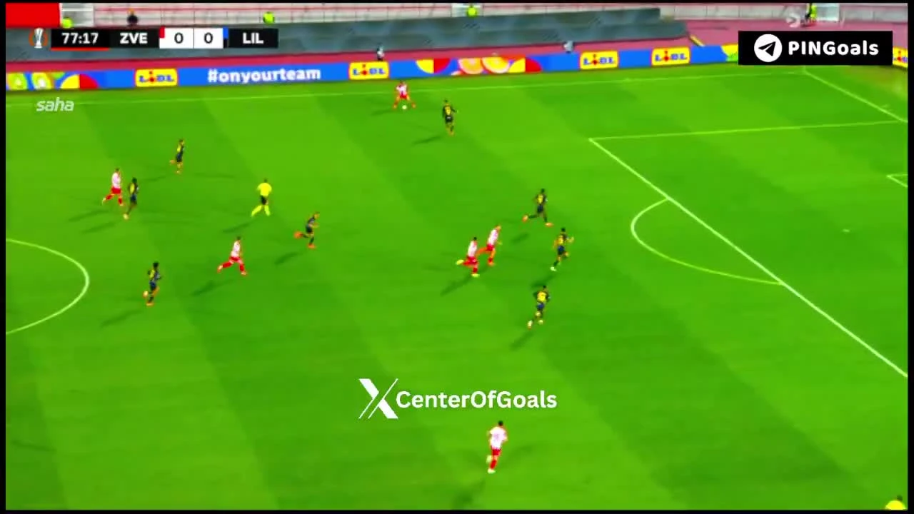 zaslepka skrotu video