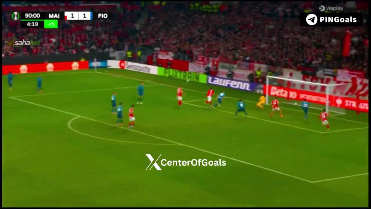 zaslepka skrotu video