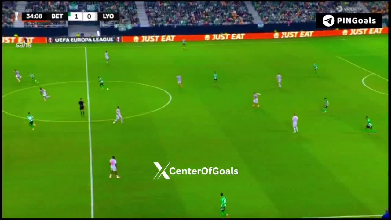 zaslepka skrotu video