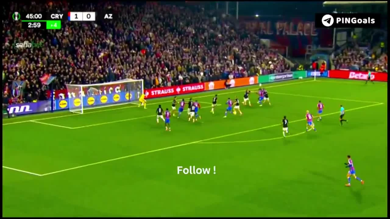 zaslepka skrotu video