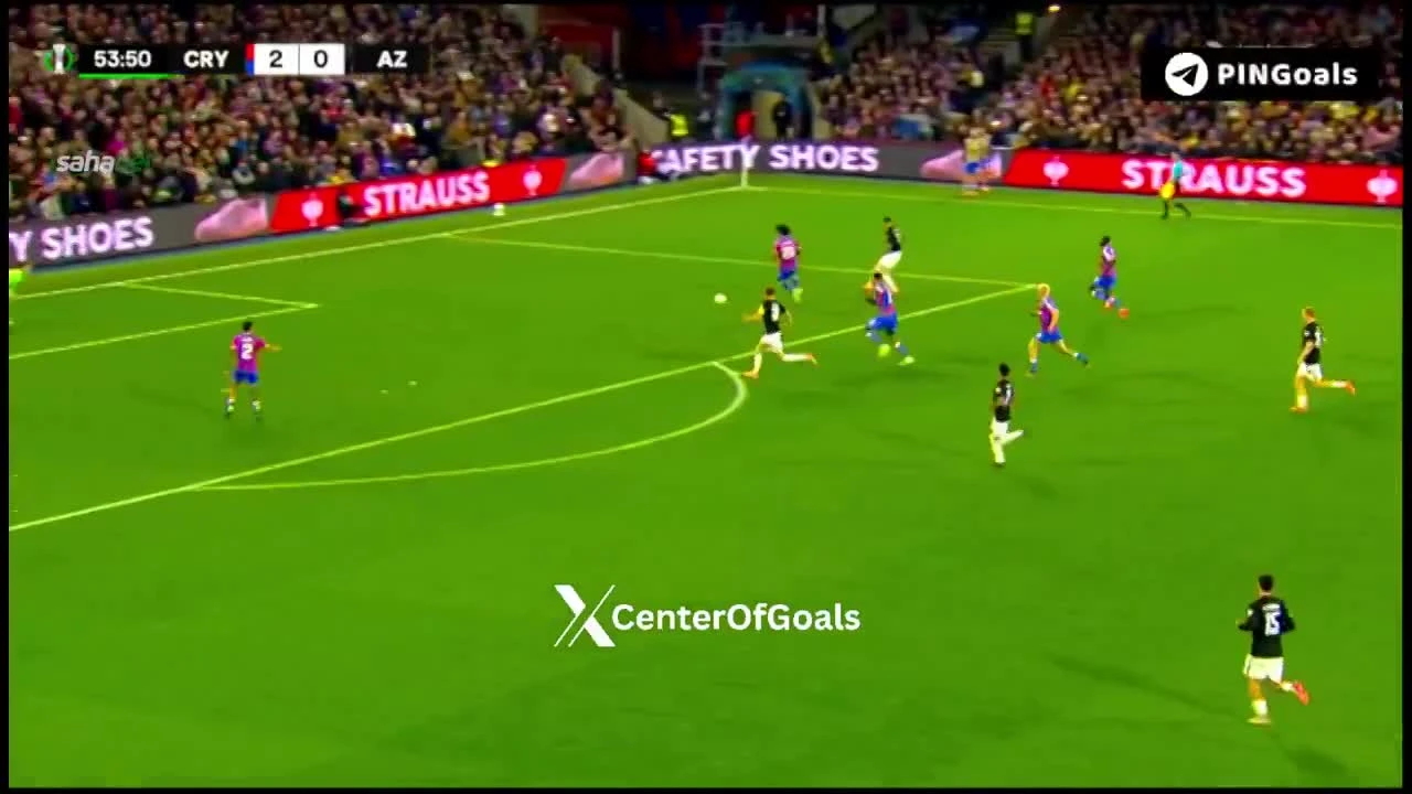 zaslepka skrotu video