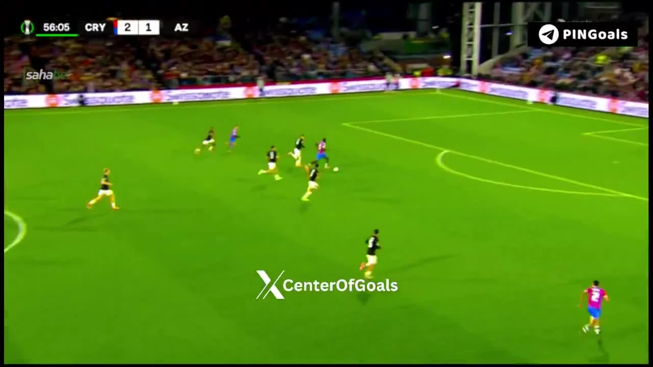 zaslepka skrotu video