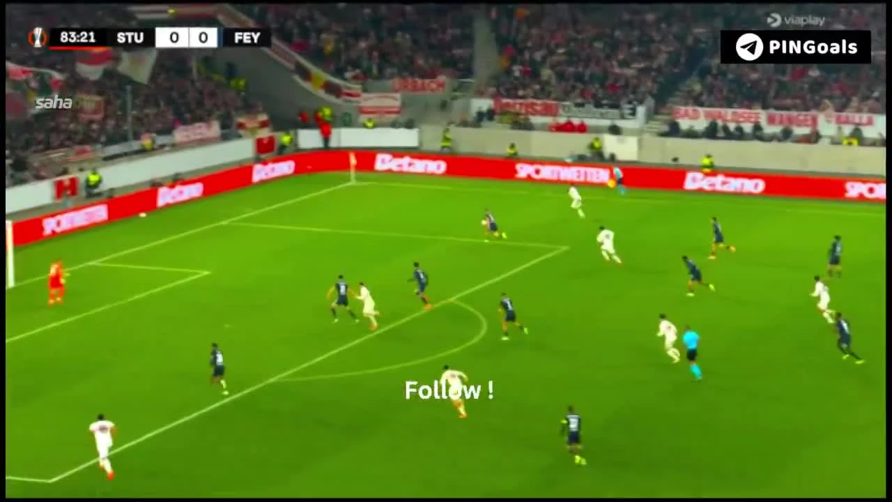 zaslepka skrotu video