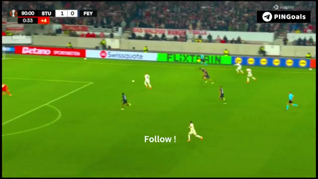 zaslepka skrotu video