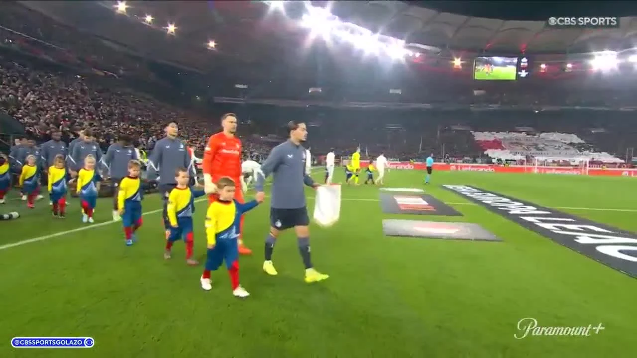 zaslepka skrotu video