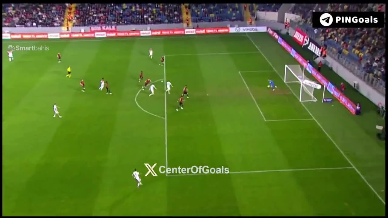 zaslepka skrotu video