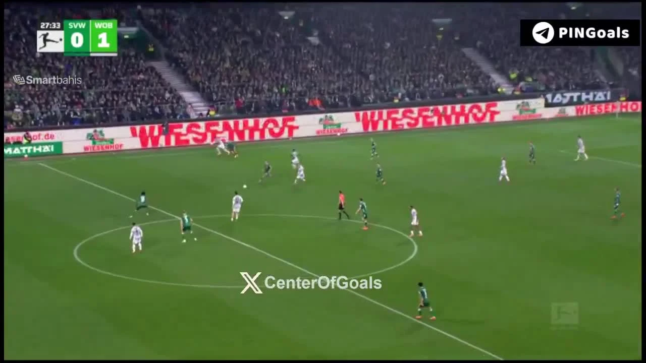 zaslepka skrotu video