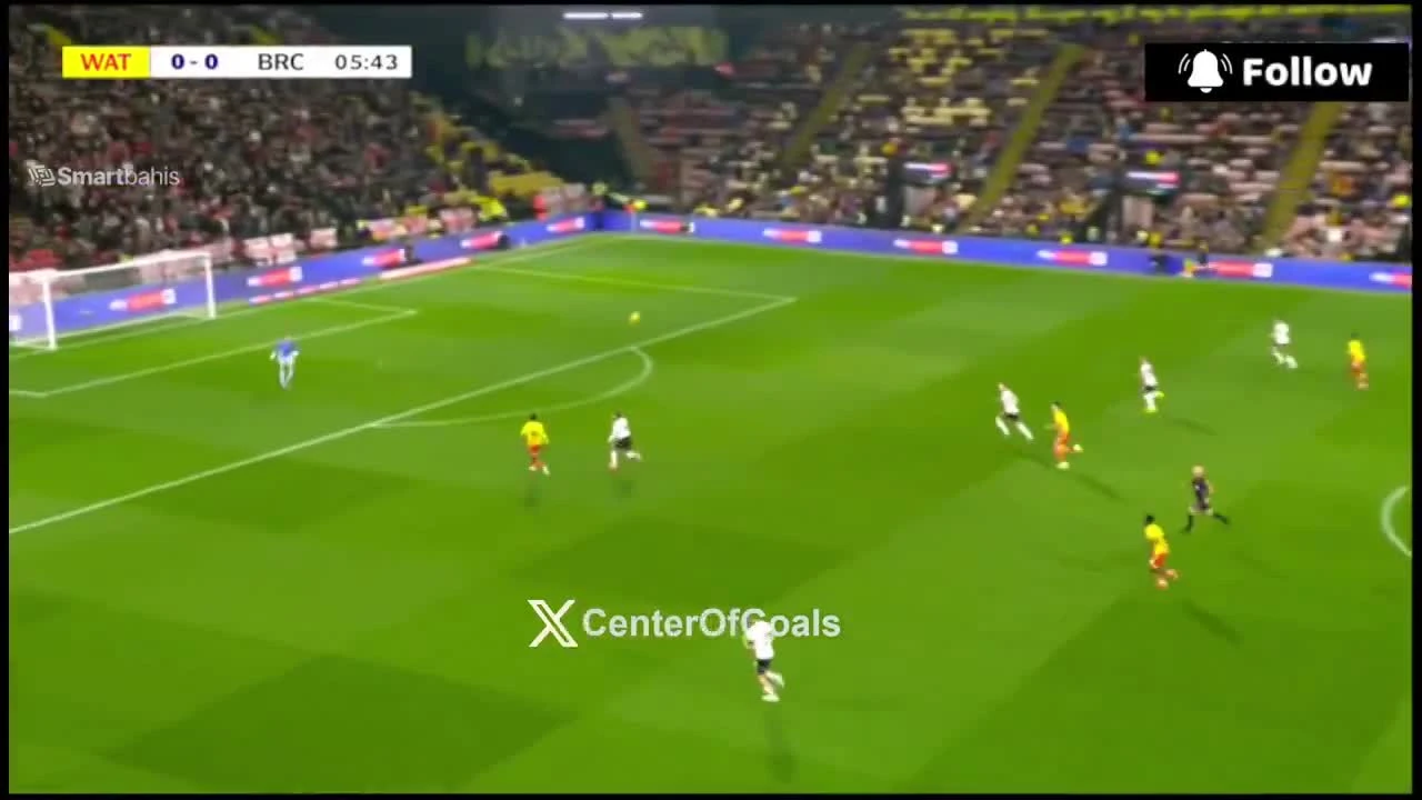 zaslepka skrotu video