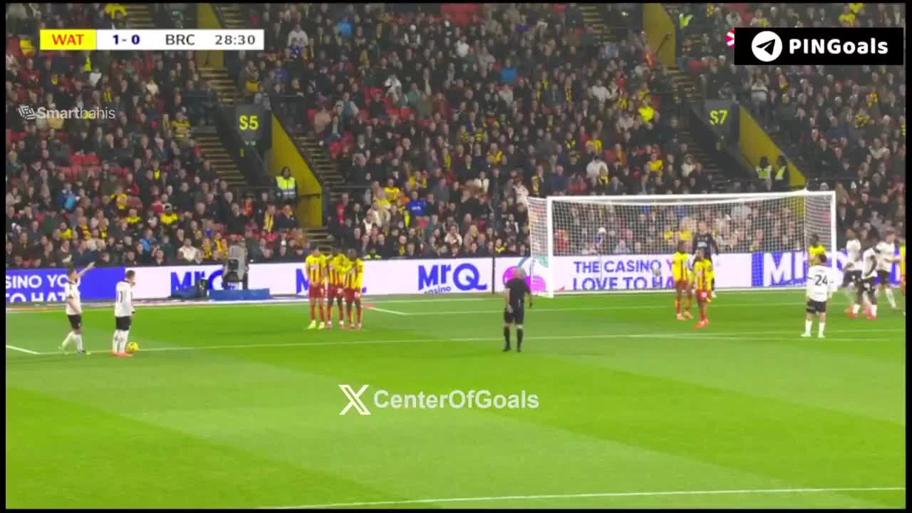 zaslepka skrotu video