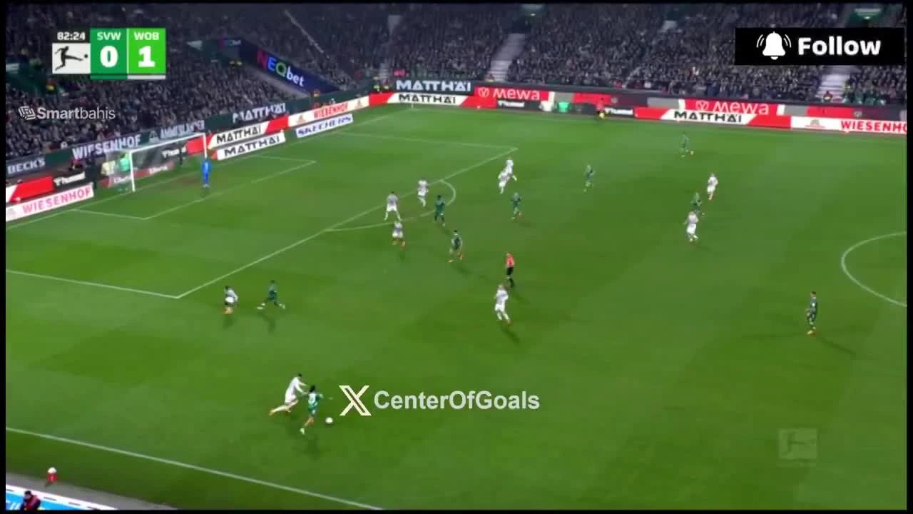 zaslepka skrotu video