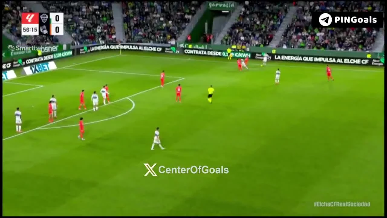 zaslepka skrotu video