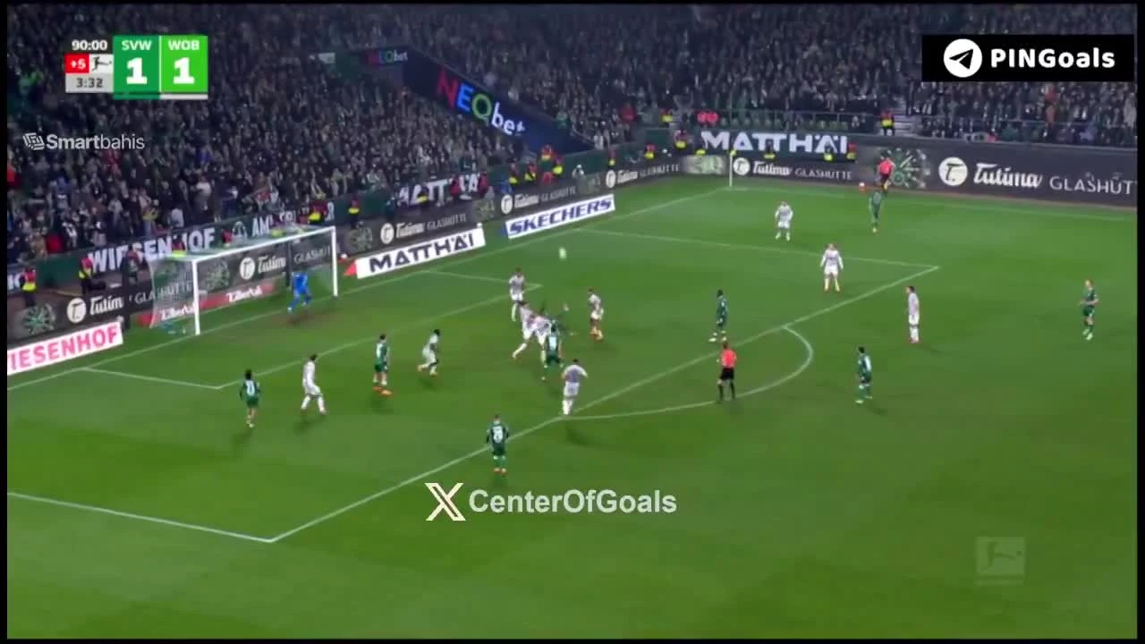 zaslepka skrotu video