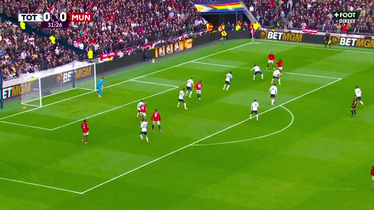 zaslepka skrotu video