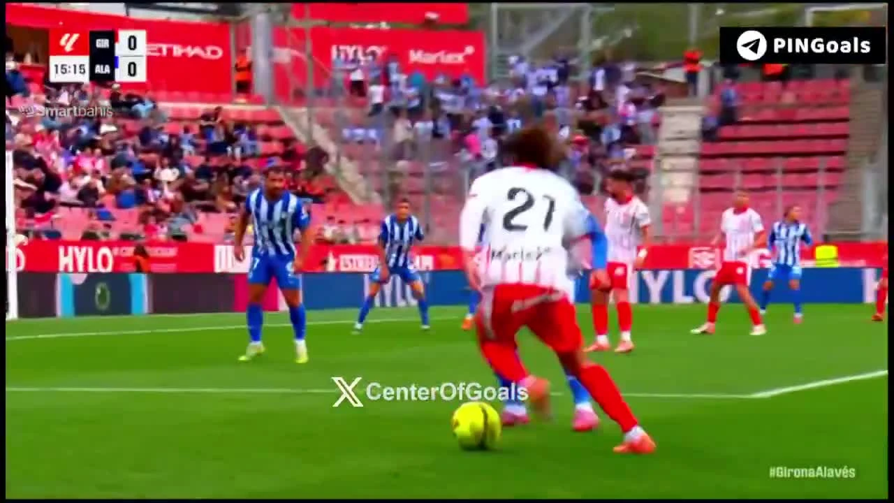 zaslepka skrotu video