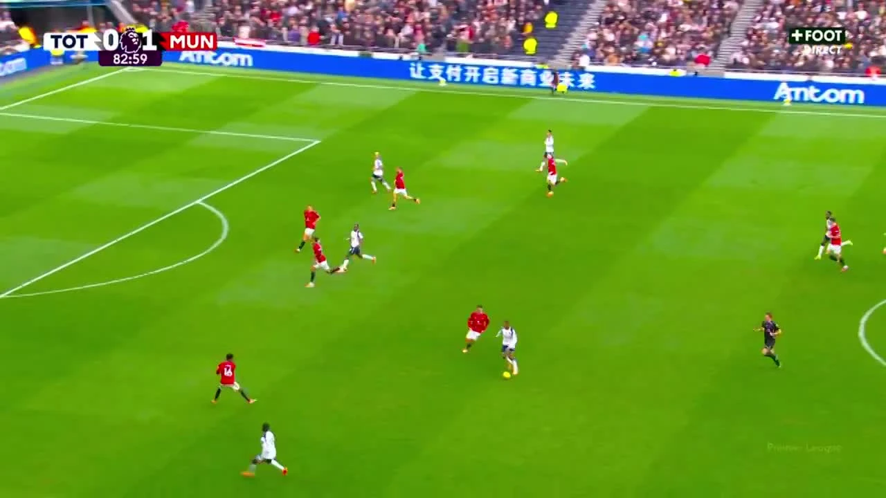 zaslepka skrotu video