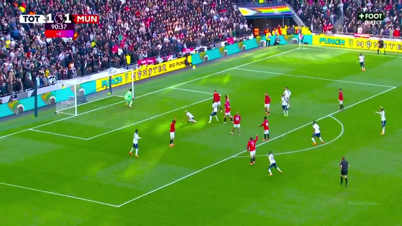 zaslepka skrotu video