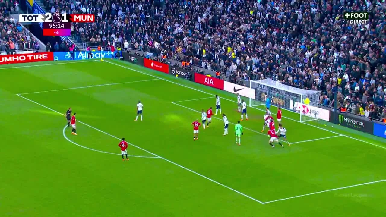 zaslepka skrotu video