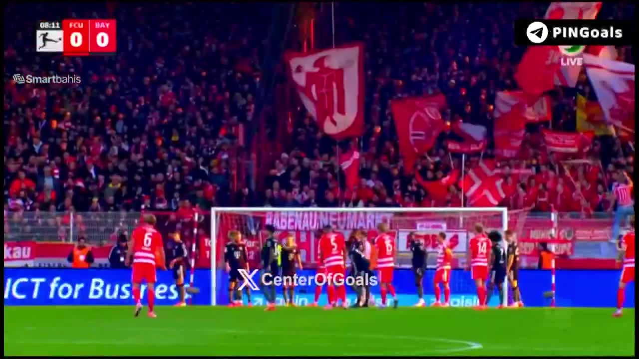 zaslepka skrotu video