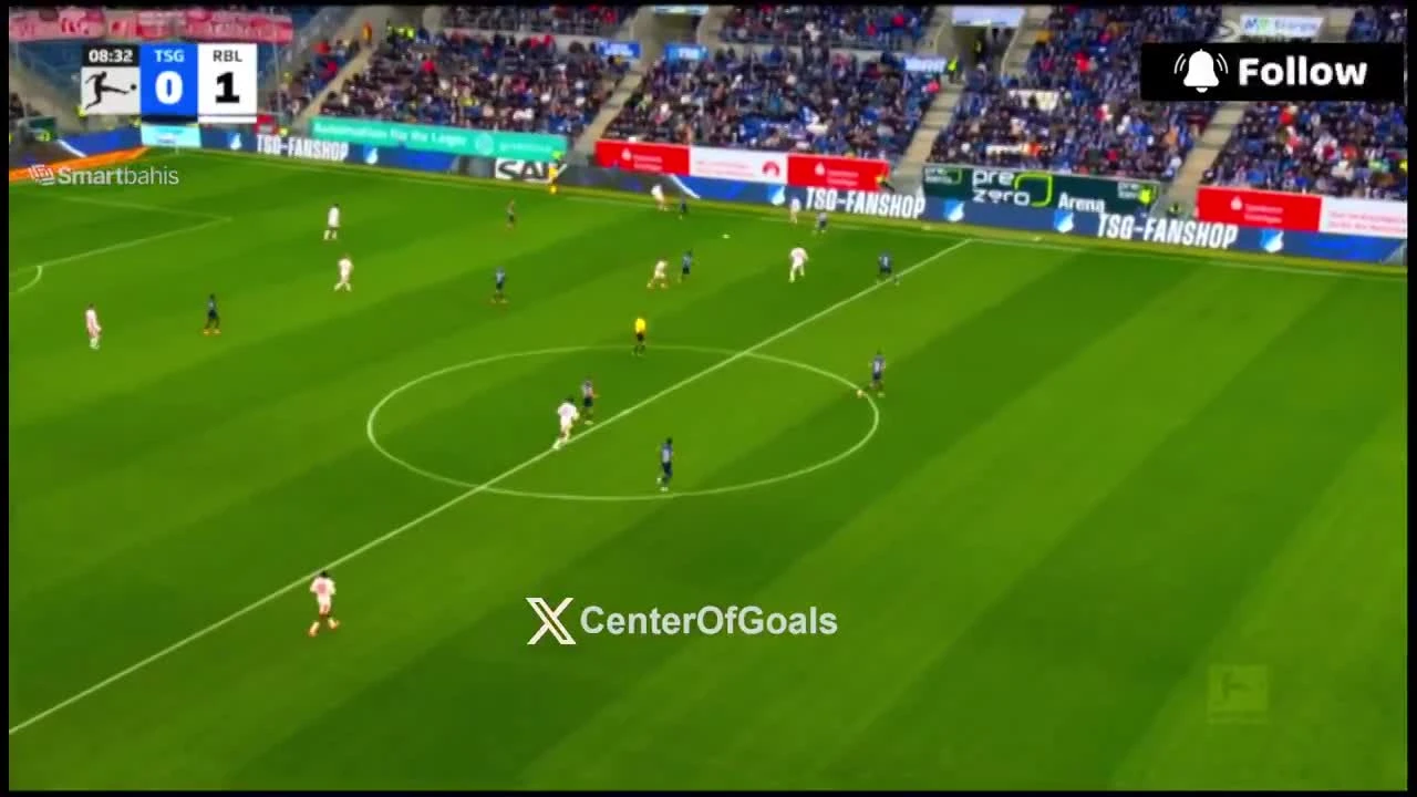 zaslepka skrotu video