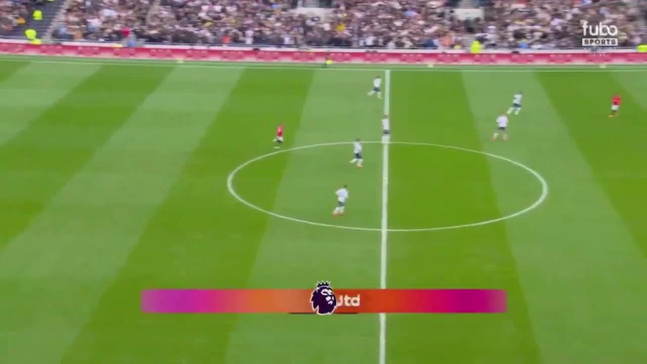 zaslepka skrotu video