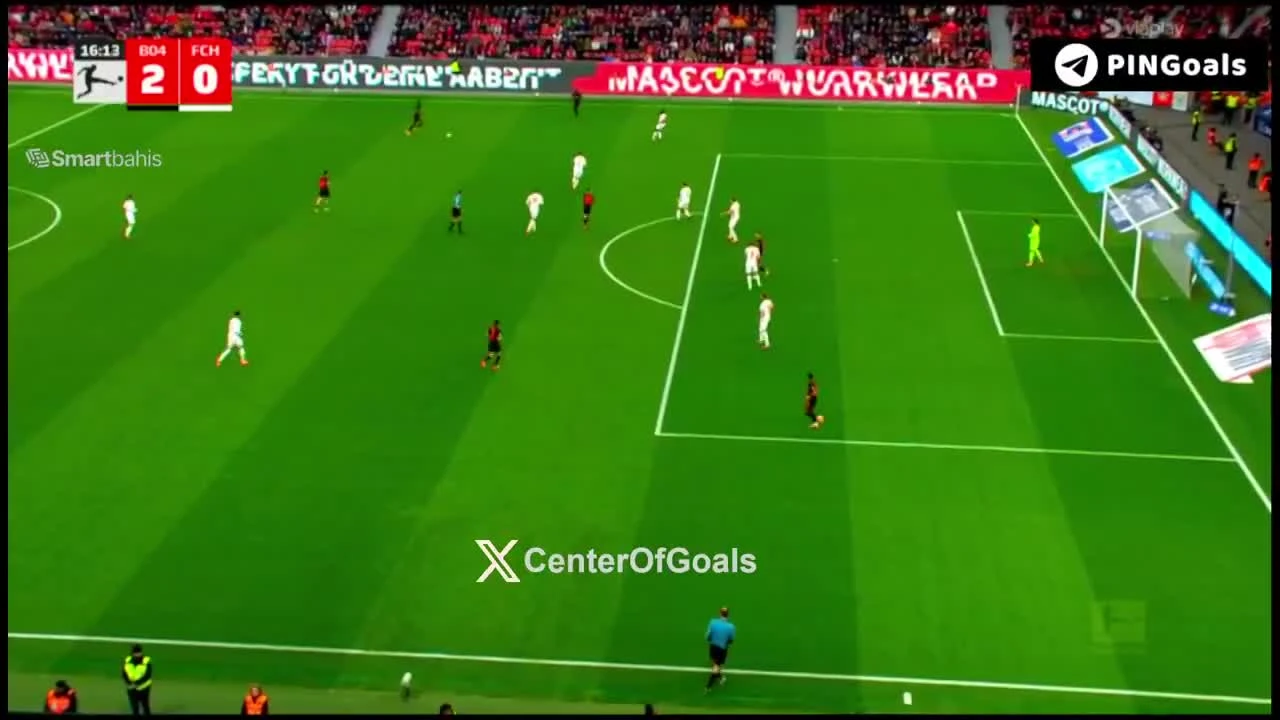 zaslepka skrotu video