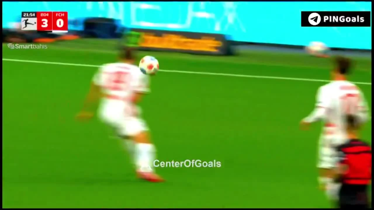 zaslepka skrotu video