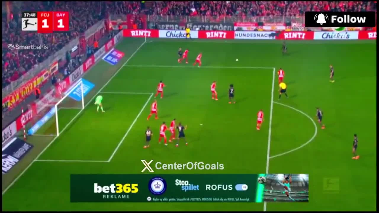 zaslepka skrotu video