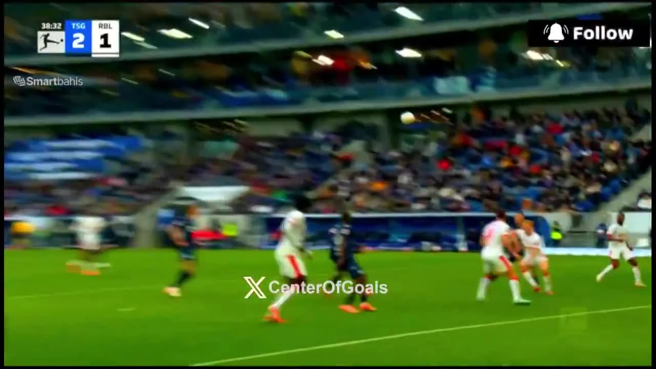 zaslepka skrotu video