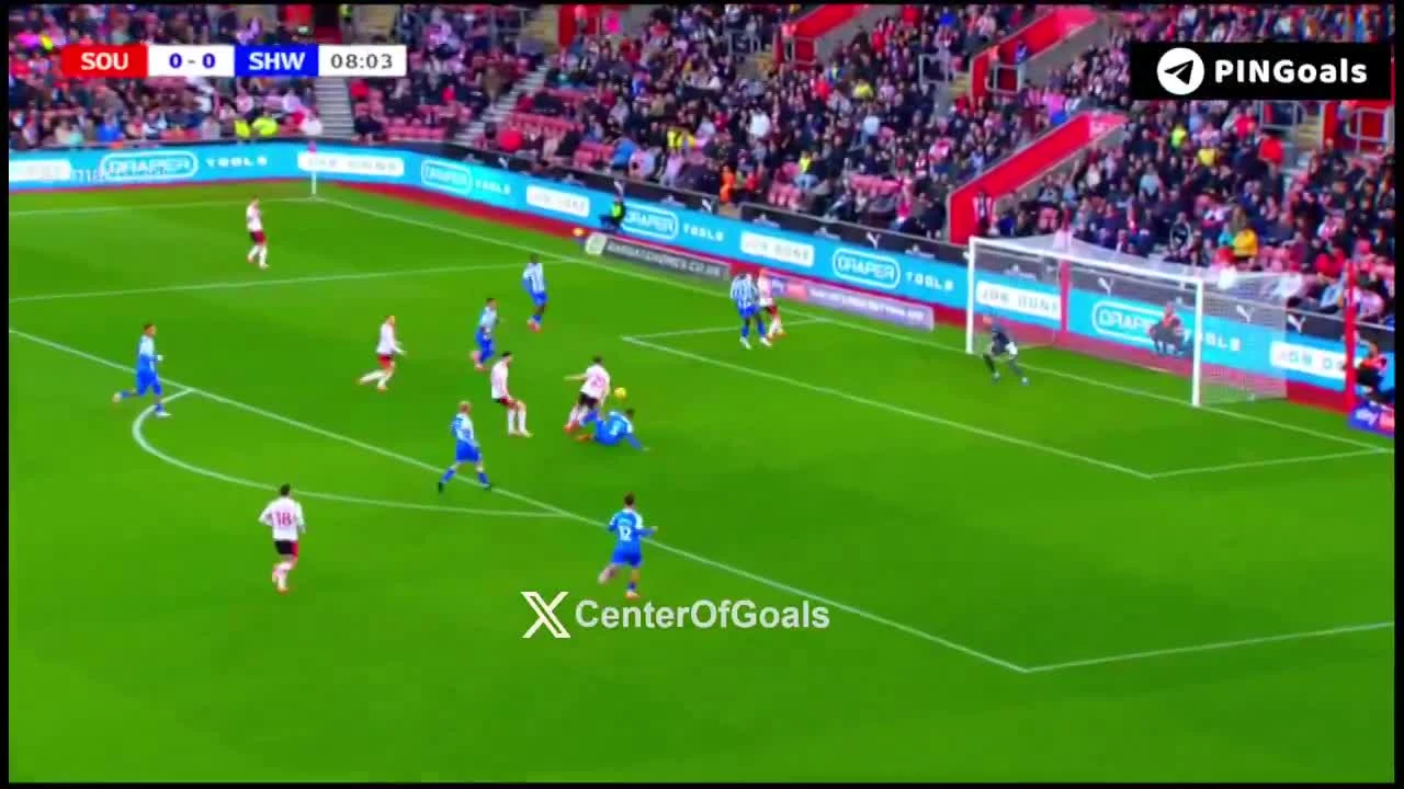 zaslepka skrotu video