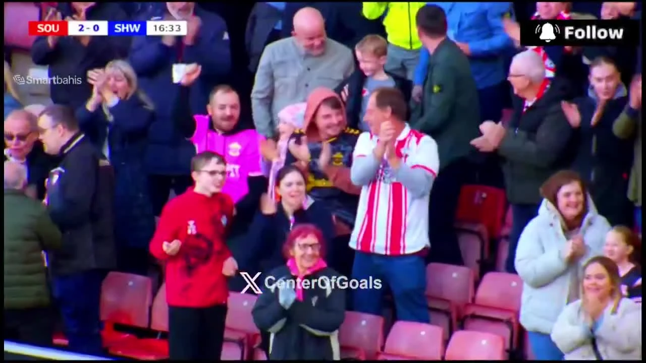 zaslepka skrotu video