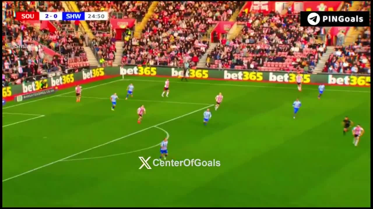 zaslepka skrotu video