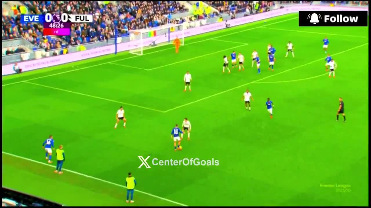 zaslepka skrotu video