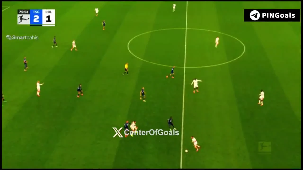 zaslepka skrotu video