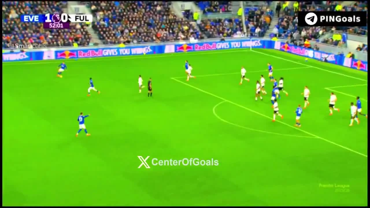 zaslepka skrotu video