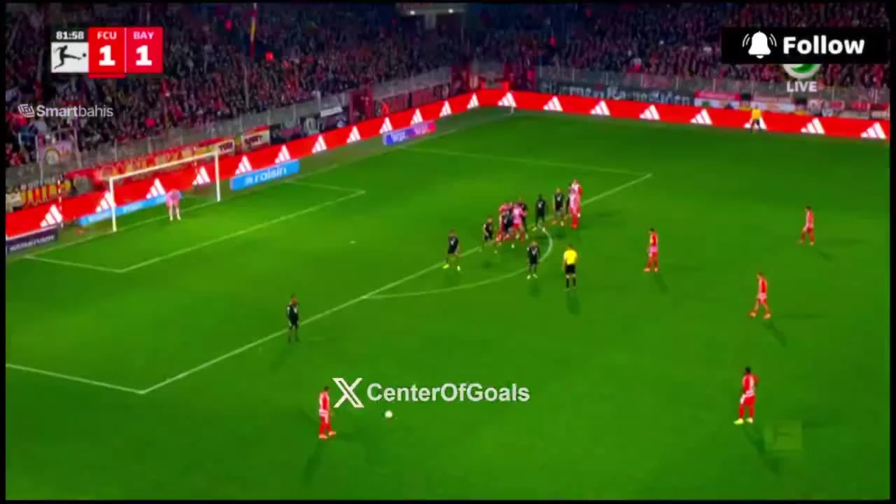 zaslepka skrotu video