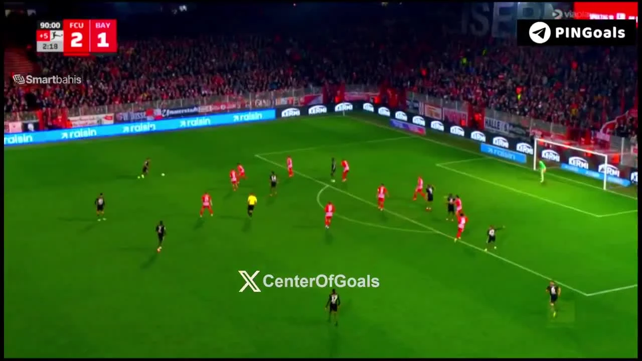 zaslepka skrotu video