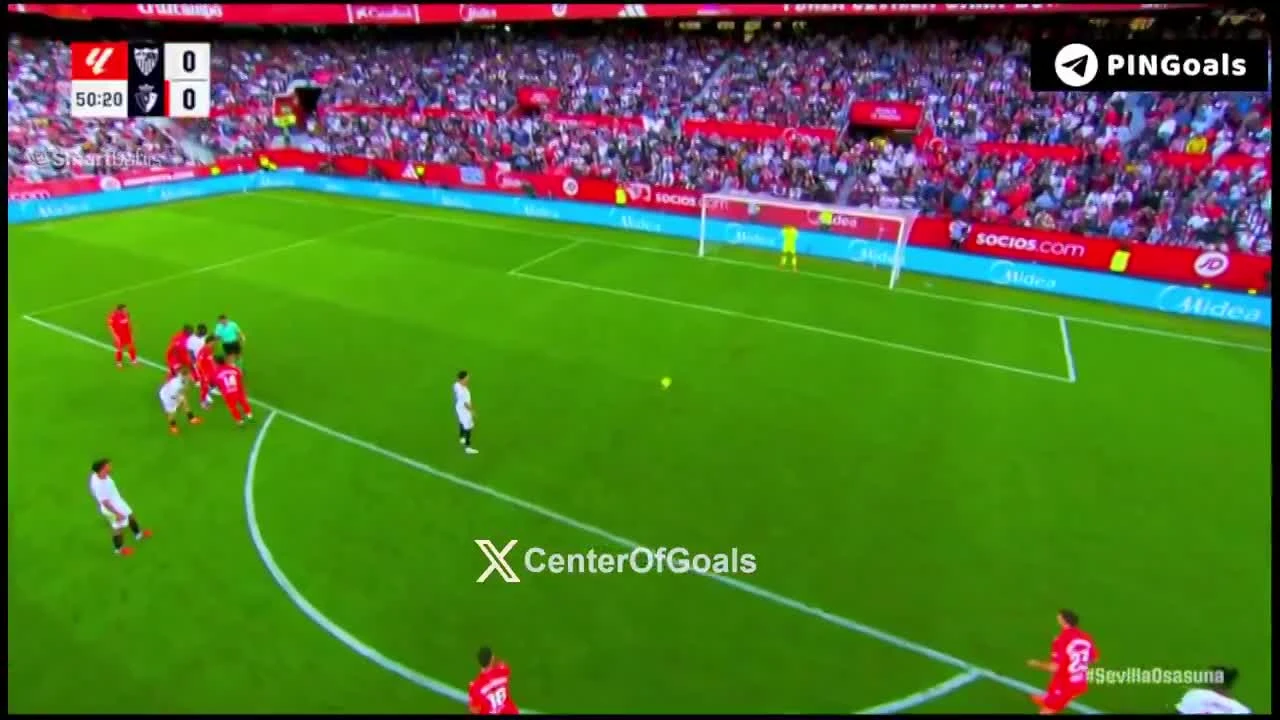 zaslepka skrotu video