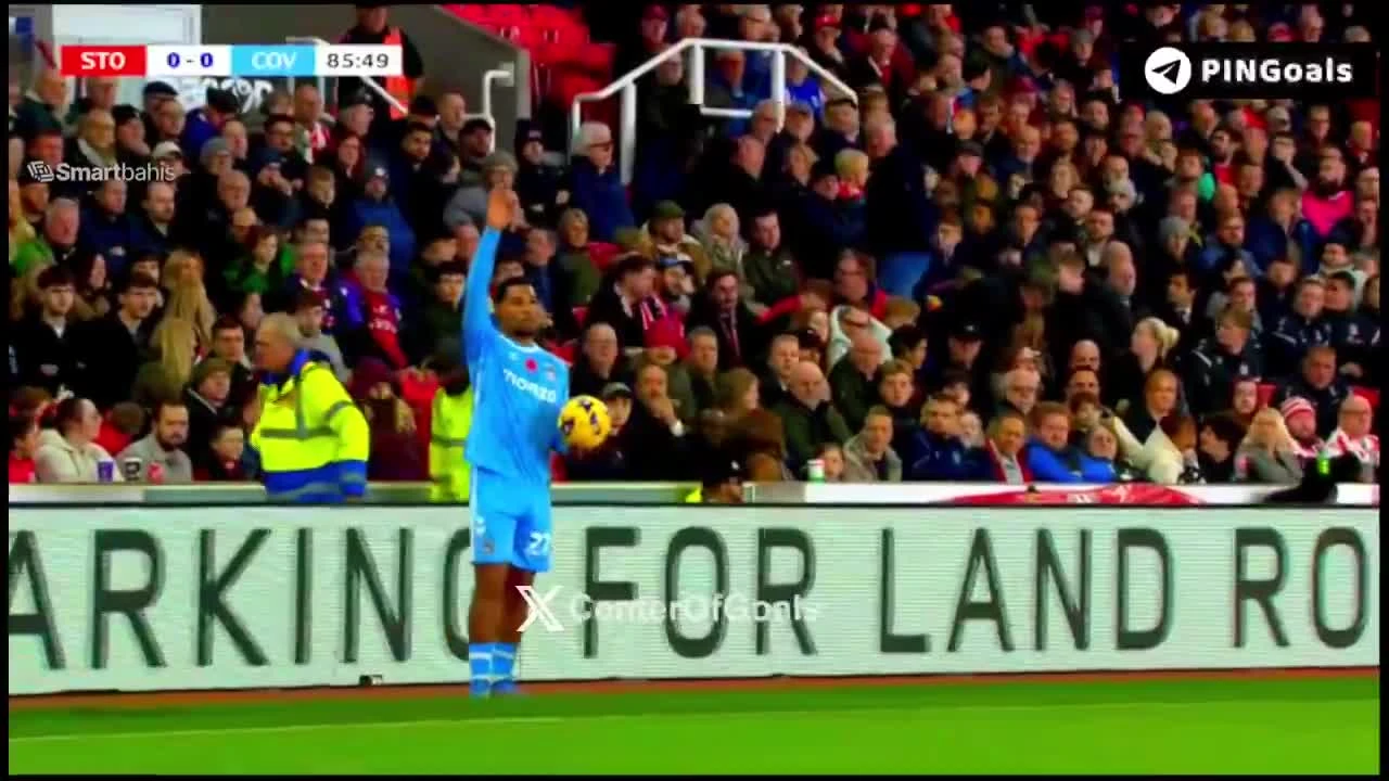 zaslepka skrotu video